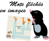 Mots fléchés en image